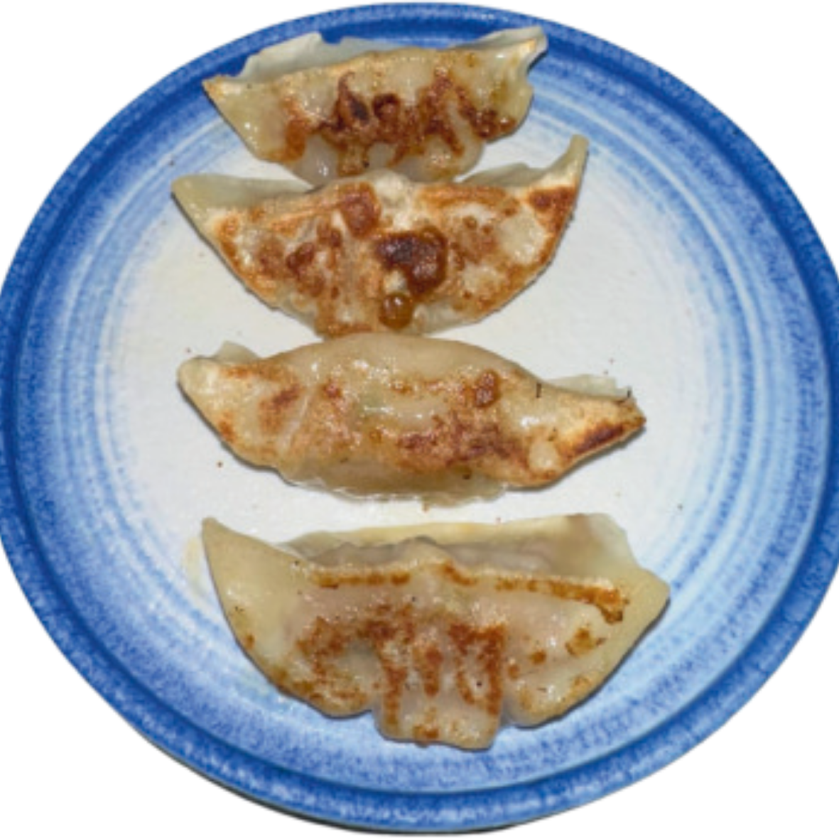 Ravioli di Carne alla Piastra